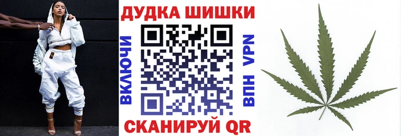 Конопля индика  маркетплейс телеграм  Шенкурск 